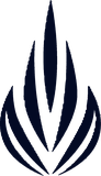 EnerChi flame icon
